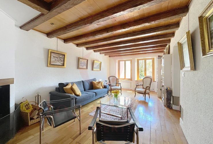 Superbe maison de village au coeur de Vernier