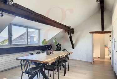 Superbe appartement de charme avec vue lac