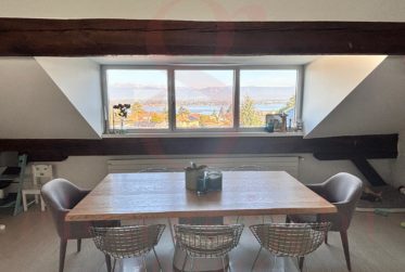 Superbe appartement de charme avec vue lac