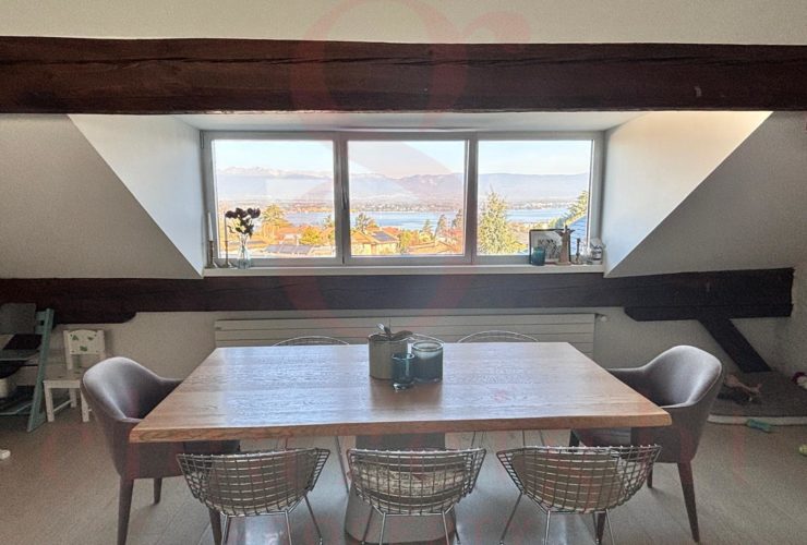 Superbe appartement de charme avec vue lac