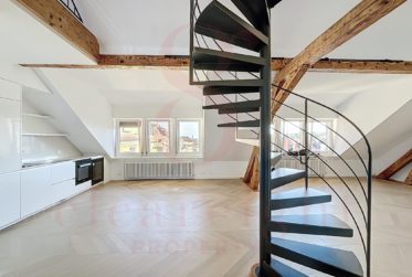 Splendide appartement ancien avec terrasse sur les toits