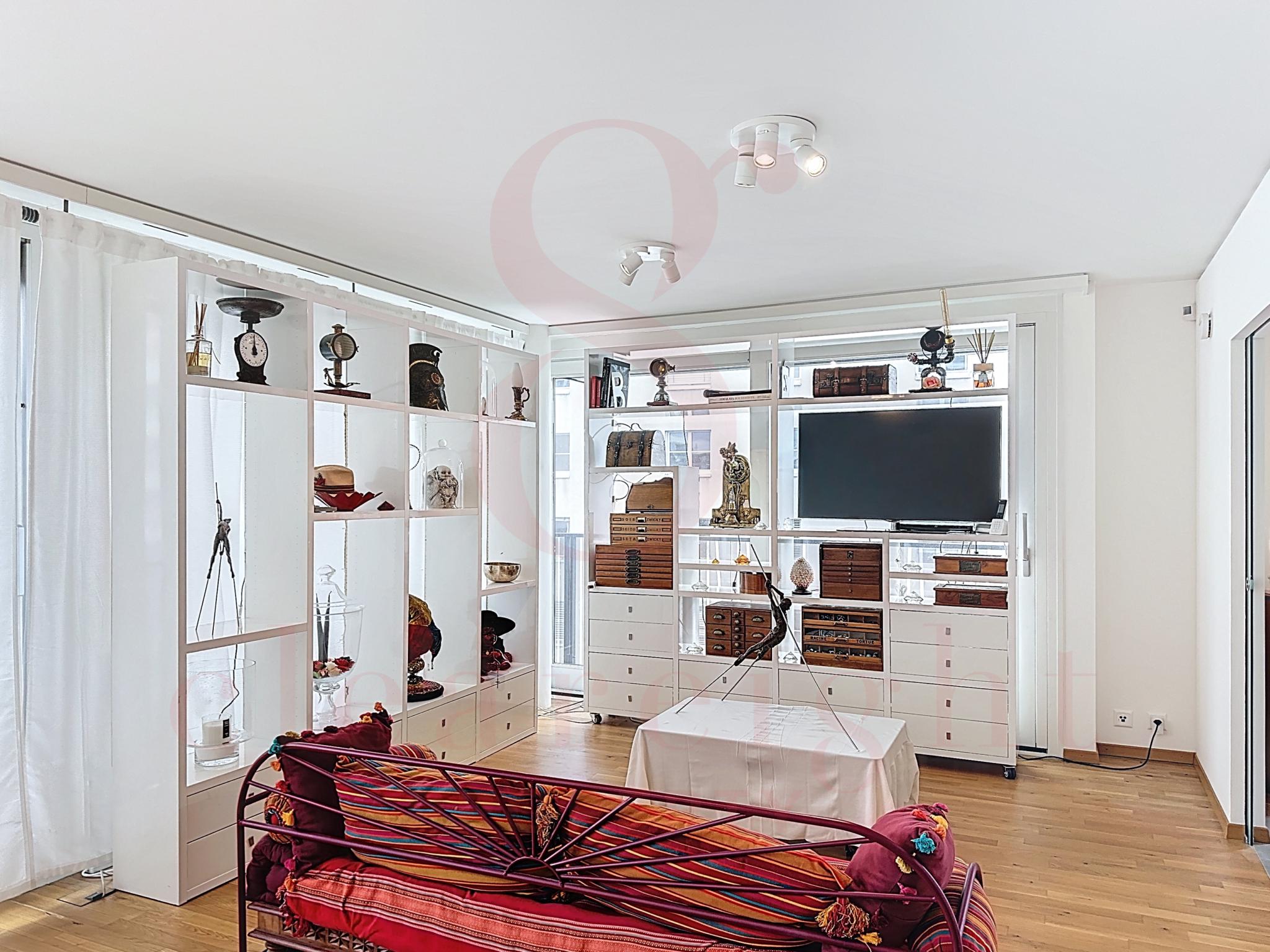 Superbe appartement traversant avec vue imprenable à Carouge