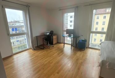 Superbe appartement traversant avec vue imprenable à Carouge