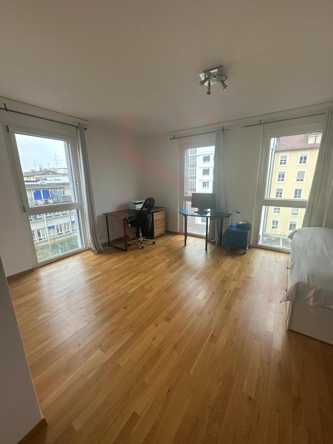 Superbe appartement traversant avec vue imprenable à Carouge