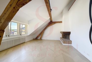 Splendide appartement ancien avec terrasse sur les toits