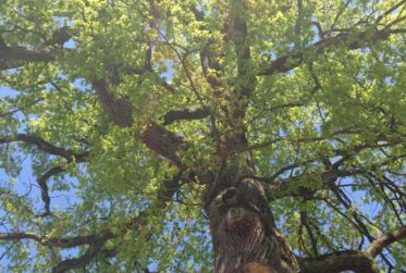 Élégante villa contemporaine dans un havre de paix