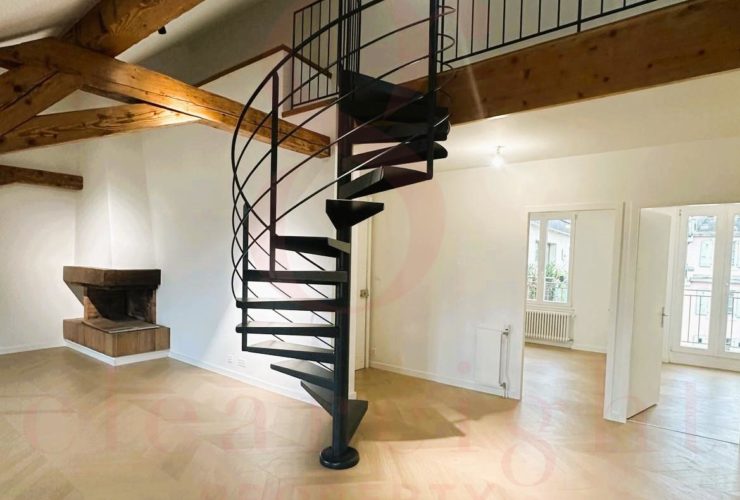 Splendide appartement ancien avec terrasse sur les toits