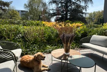 Superbe appartement de standing